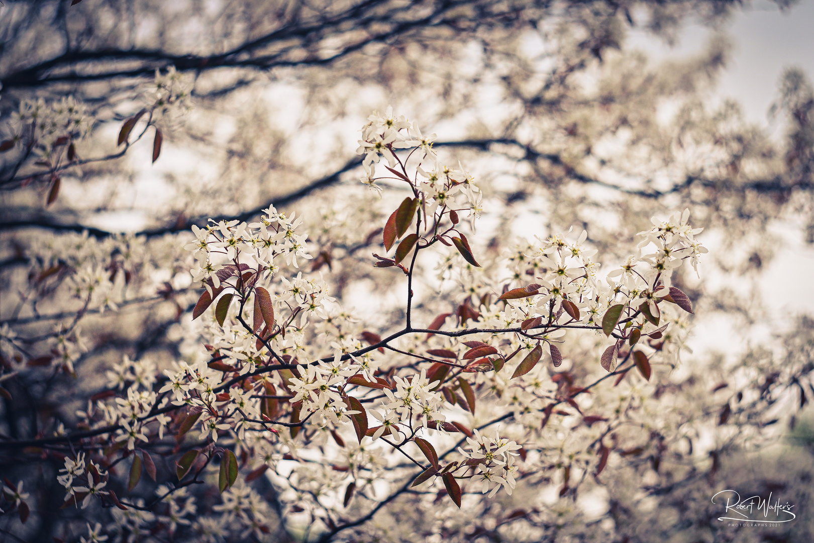 Bokeh-Versuch im Ort