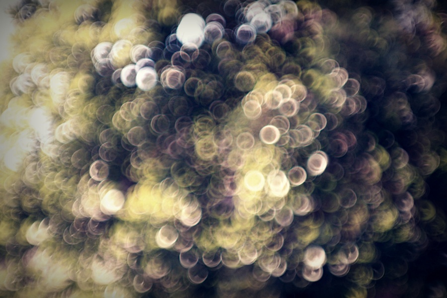 bokeh, yo.