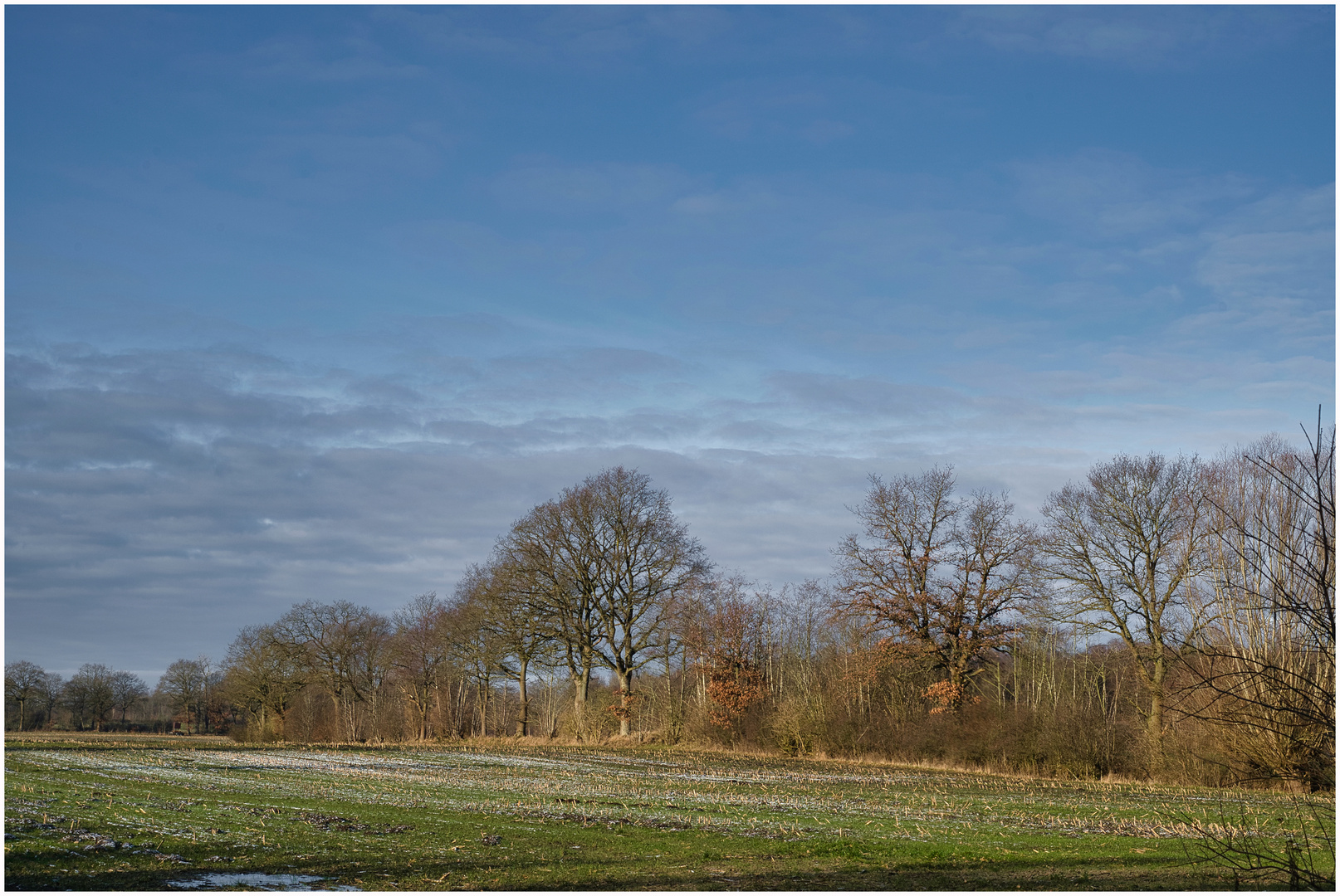 Bokelsesser Moor