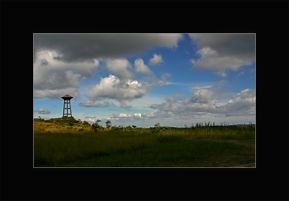 Bokor 3....