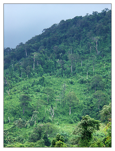 Bokor Nationalpark - Kampot, Kambodscha