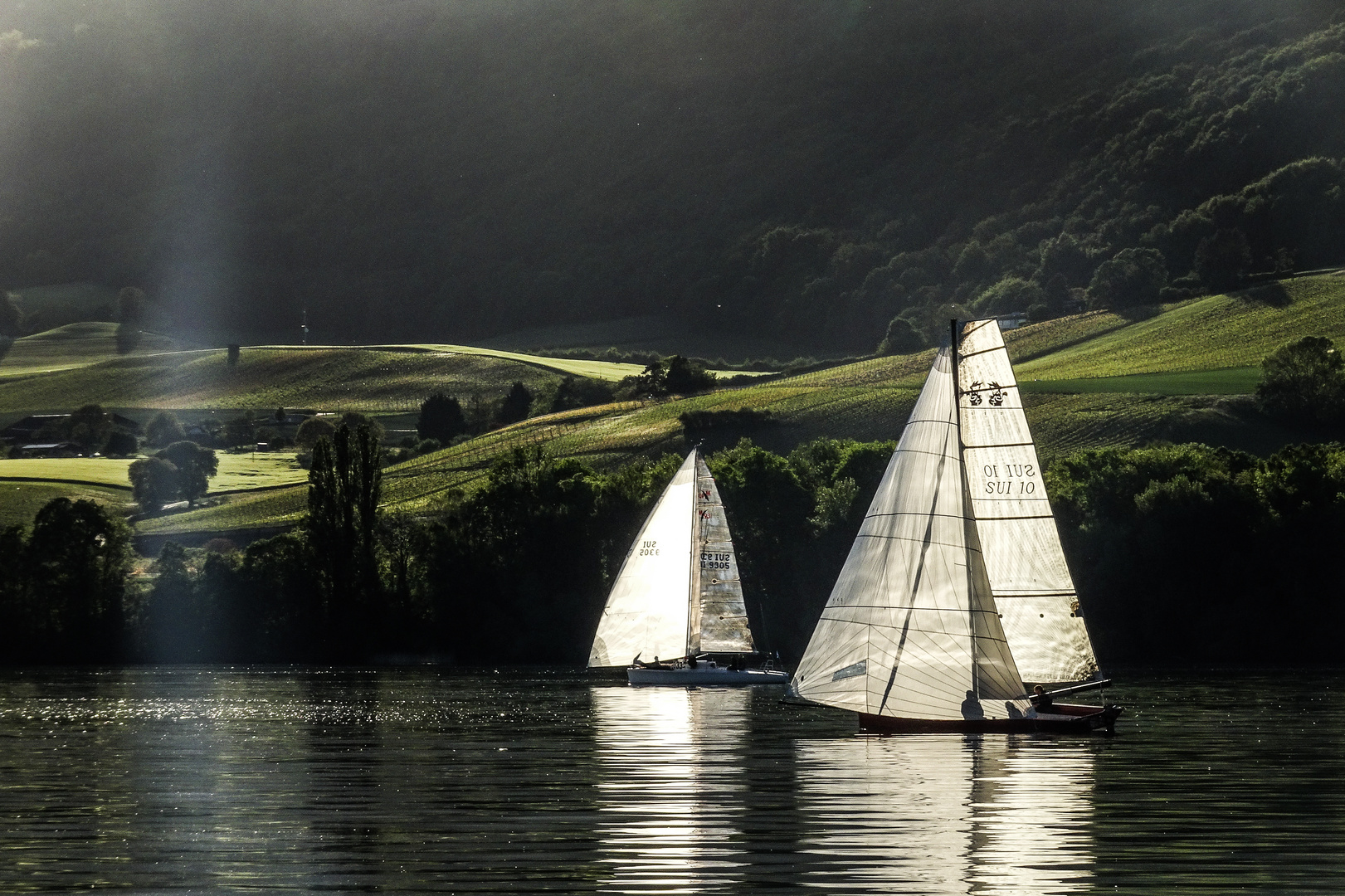 Bol d Or Regatta bei leichten Wind