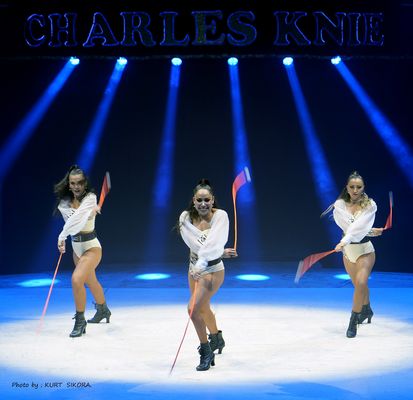 Bola / früher Wurfgeschoss der Jagd.