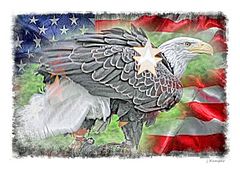 - bold eagle, where do you fly? -
