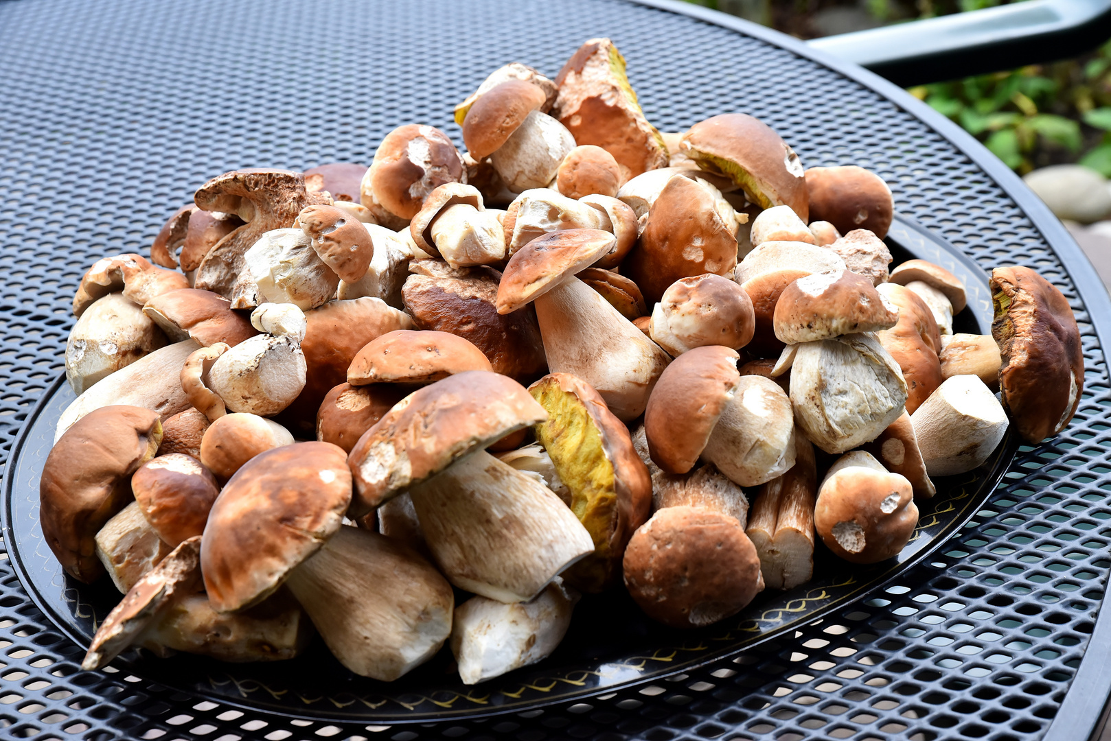 Boletus edulis :-)