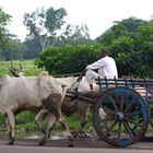 Bolide Indien