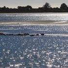 Bolinas Lagoon