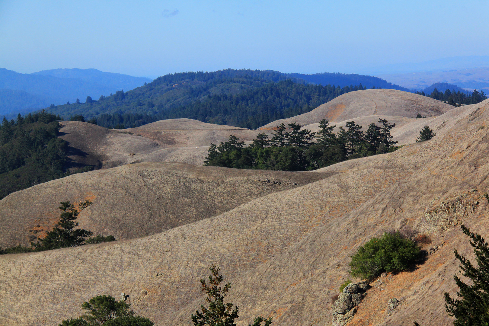 Bolinas Ridge