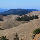 Bolinas Ridge