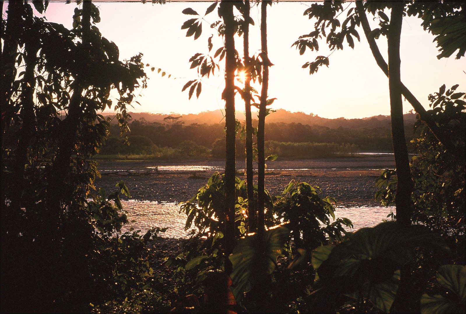 Bolivia, Chapare