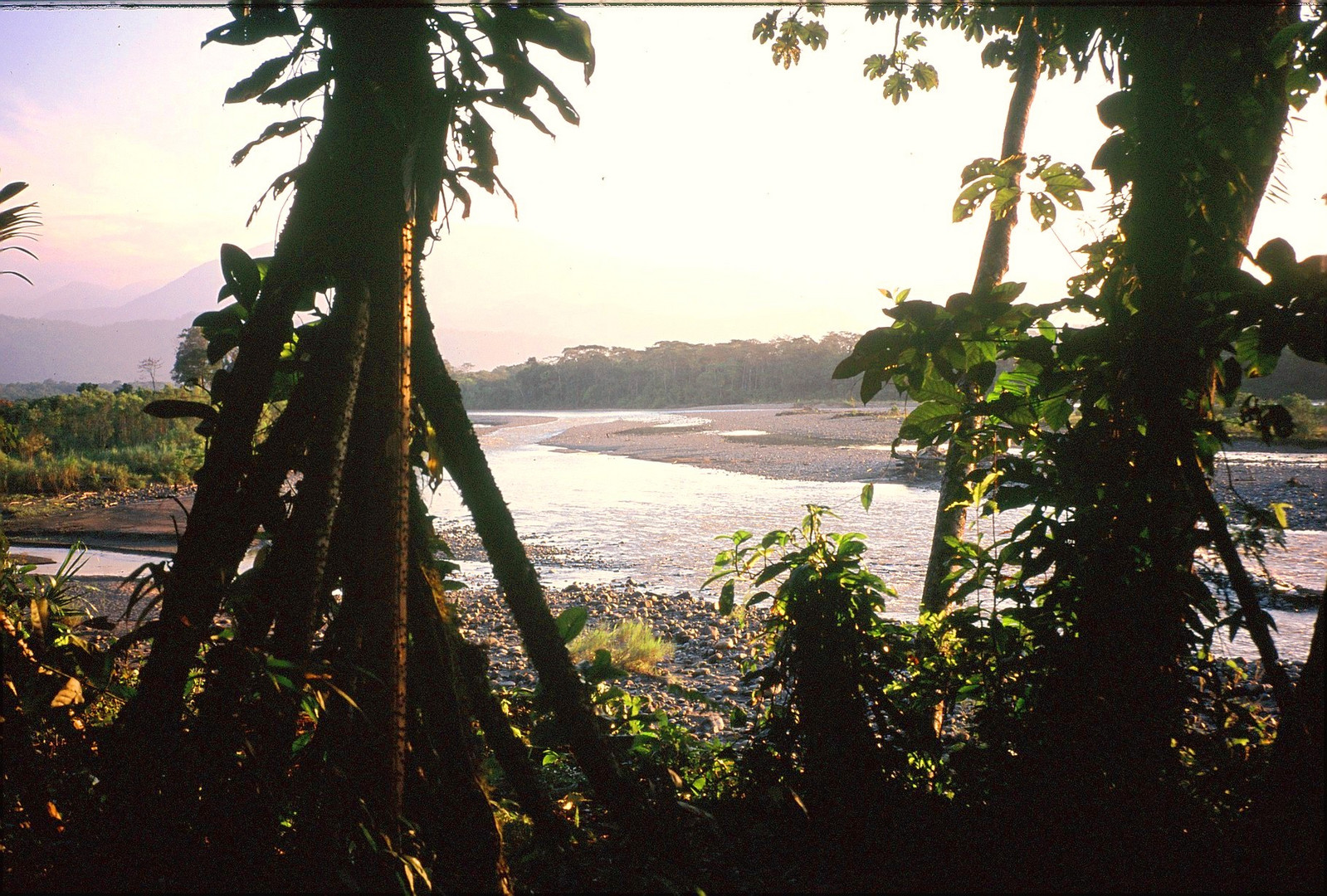 Bolivia, Chapare tropical region of Cochabamba