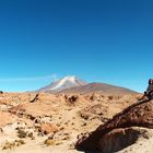 Bolivia Deserti Montani