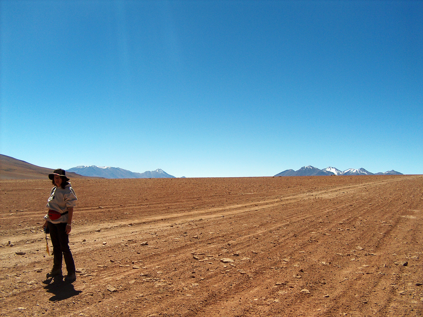 Bolivia Deserto Montano