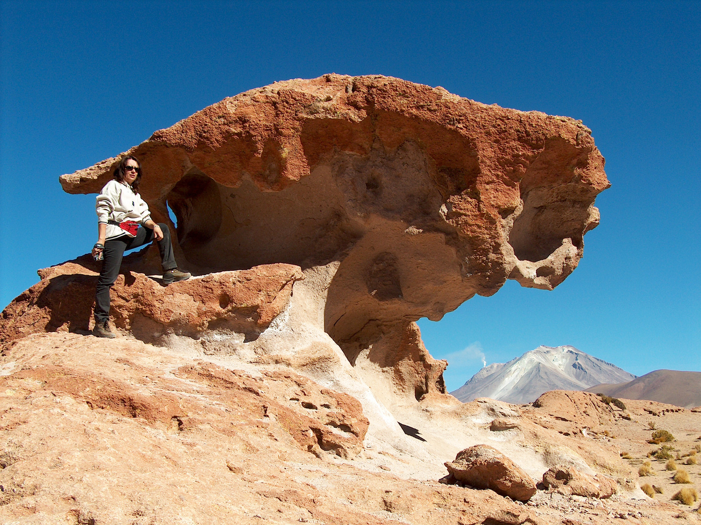 Bolivia Deserto Roccioso