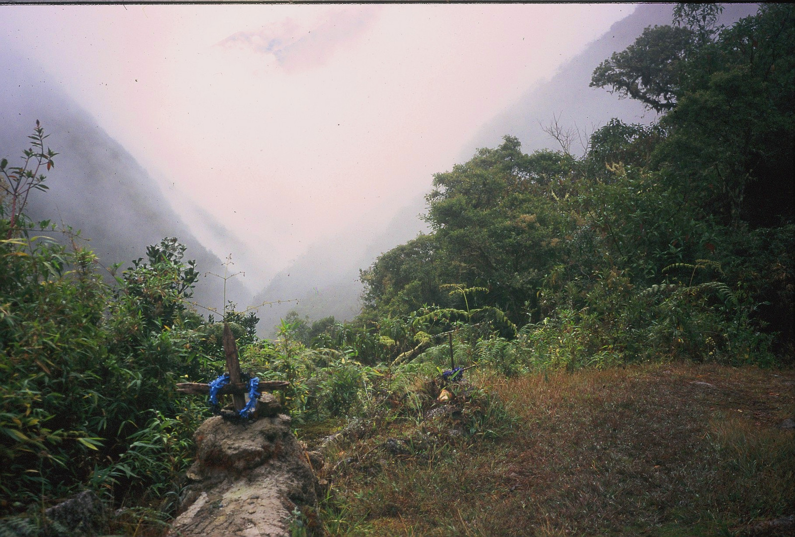 Bolivia grave of mother and her child in rainforest of the Yungas