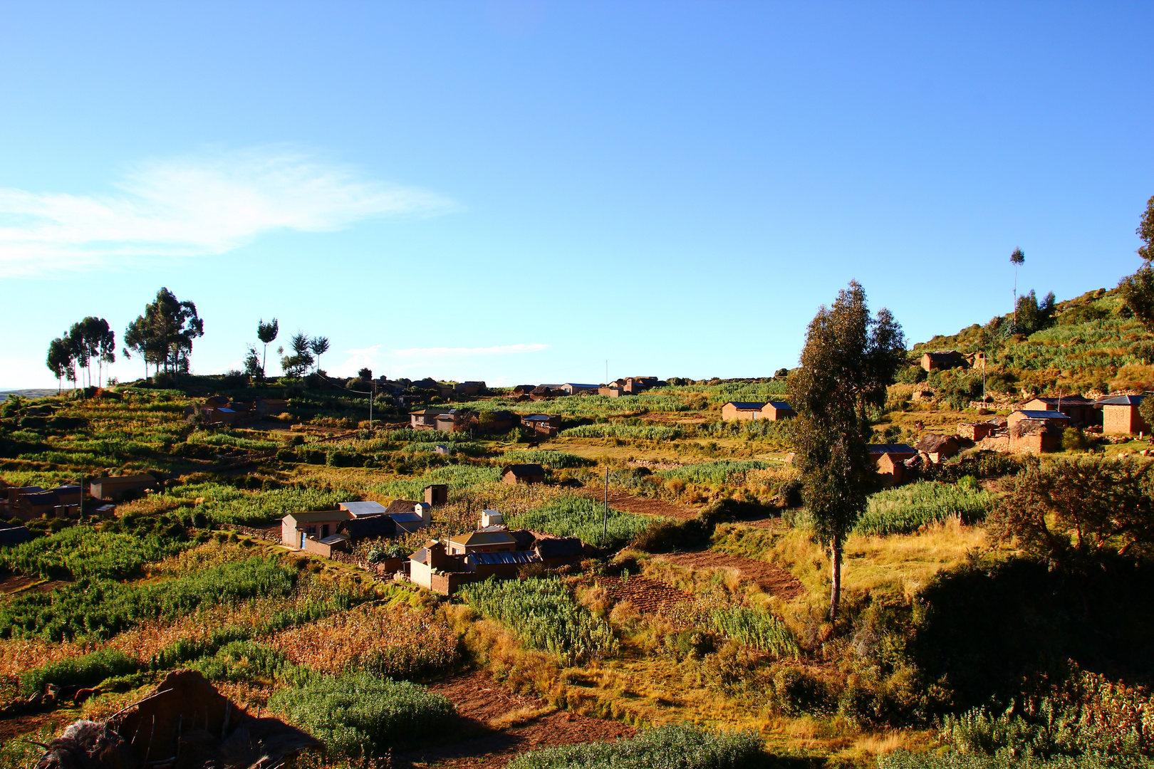 Bolivia Isla Del Sol