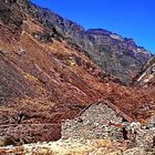 Bolivia: Karges Land in 4.500 m.ü.M.
