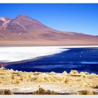 Bolivia: Laguna colorata
