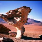 Bolivia near Salar de Uyuni