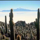 Bolivia Salar de Uyuni