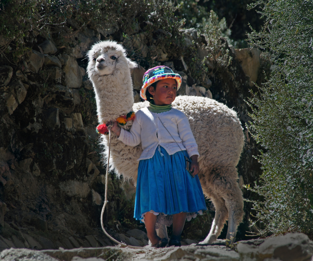 Bolivia - Titicaca Lake, Isla del Sol