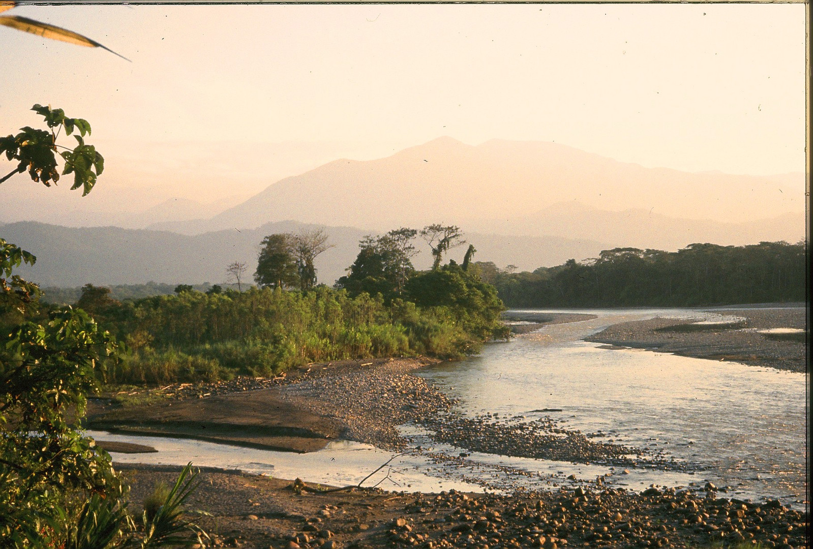 Bolivia Tropical part of Cochabamba Rio Chapare