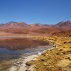 Bolivia - Uyuni Trip