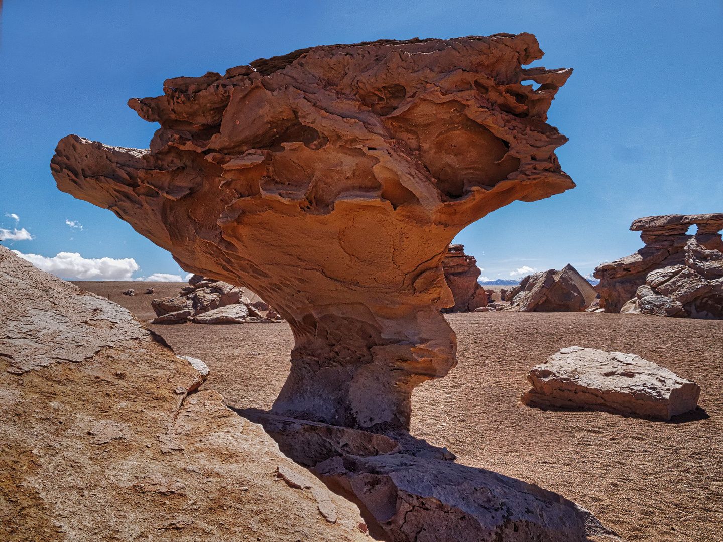 Bolivian Formation