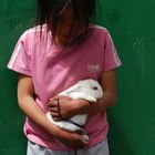 Bolivian with her rabbit