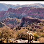 Bolivianische Erosionslandschaft