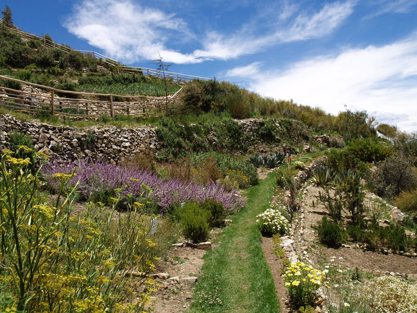 Bolivianischer Kräutergarten