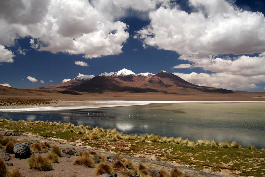 Bolivianisches Altiplano 2
