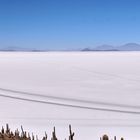 Bolivia,Salar de Uyuni 1