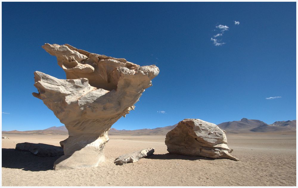 bolivie arbre de pierre de Dali