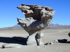 Bolivien Arbol de Pidra