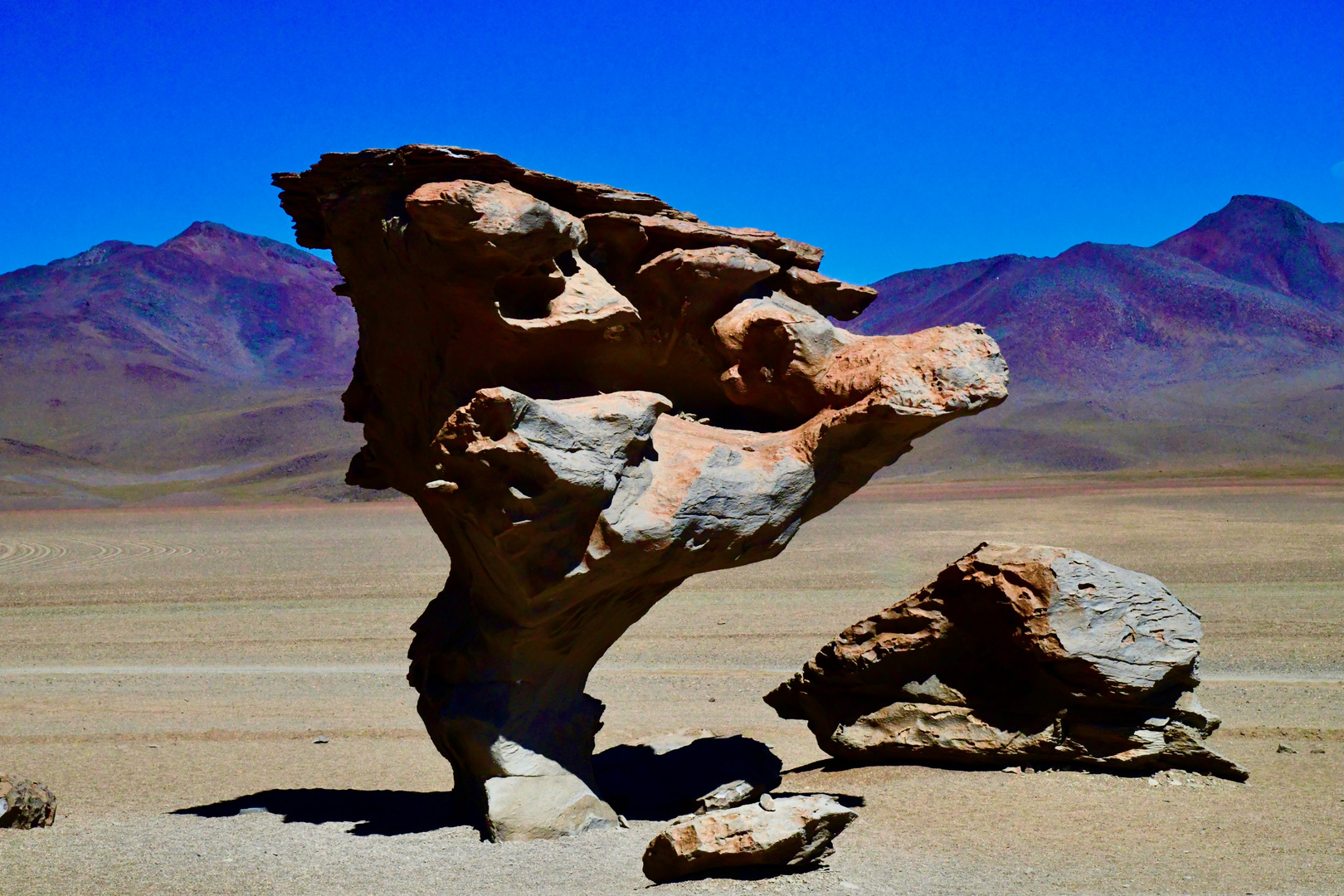 Bolivien: Arbol de Piedra