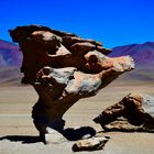 Bolivien: Arbol de Piedra