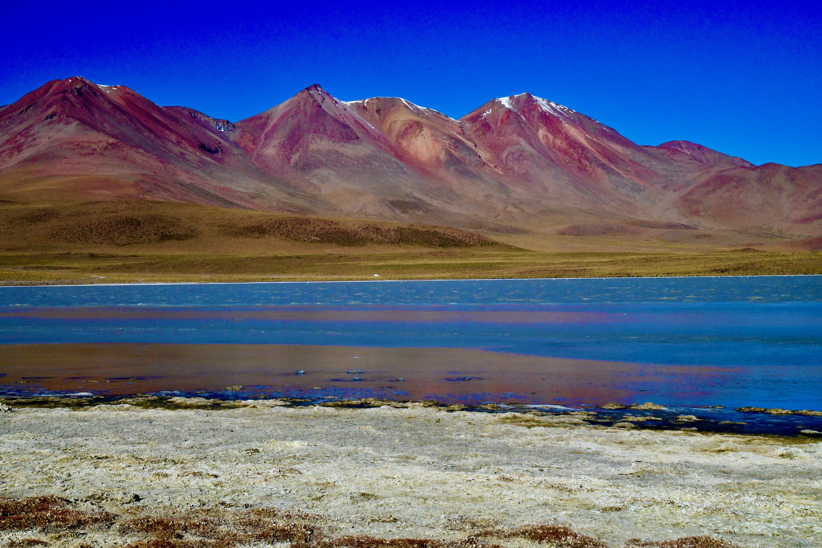 Bolivien: Laguna Cañapa (1)