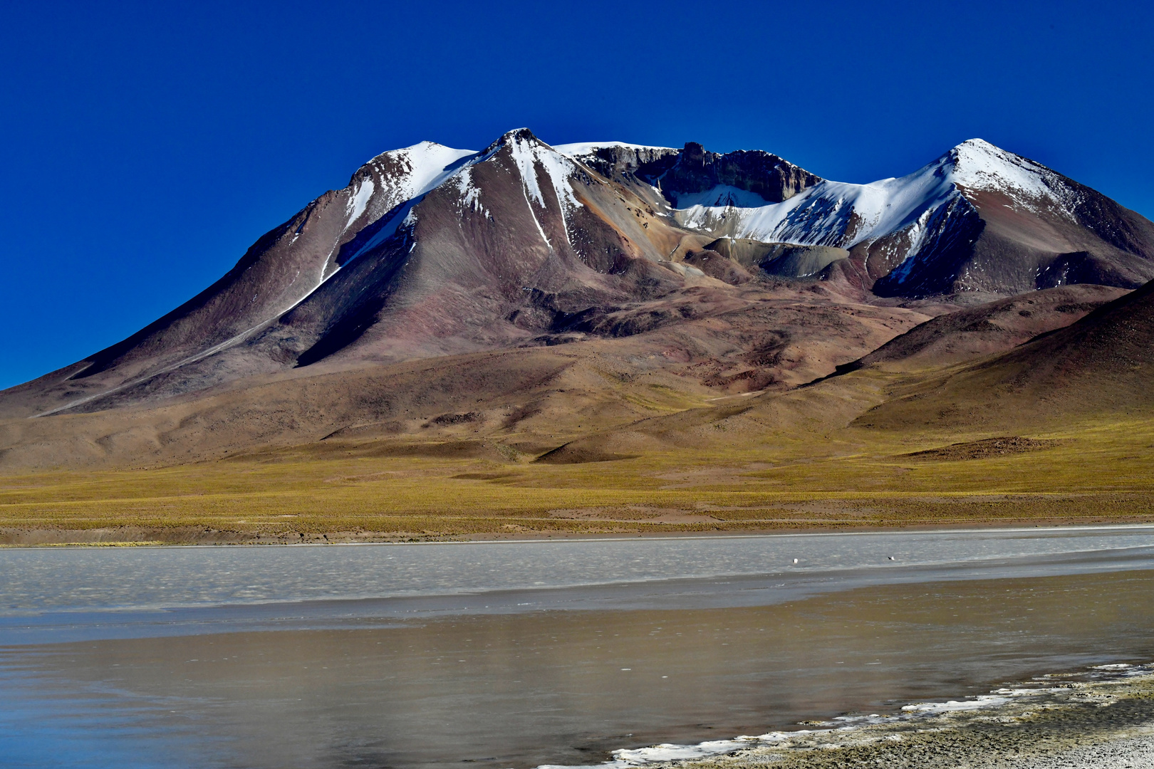 Bolivien: Laguna Cañapa (2)