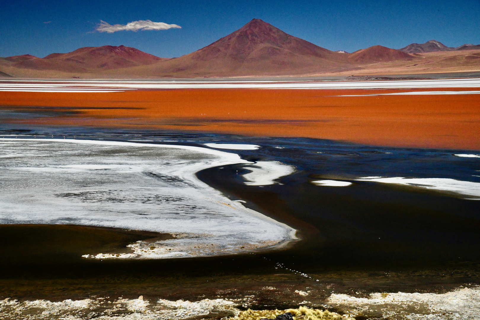 Bolivien: Laguna Colorada (1)