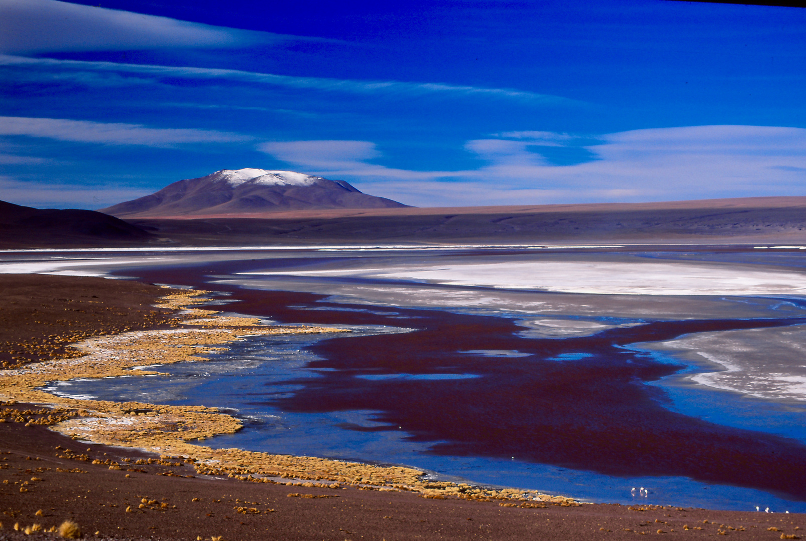 Bolivien: Laguna Colorada (2)