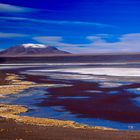 Bolivien: Laguna Colorada (2)