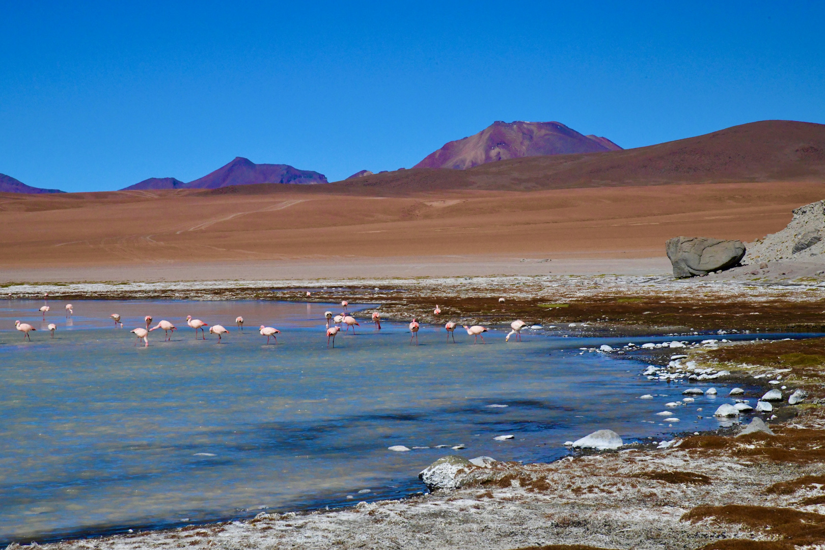 Bolivien: Laguna Kara (2)