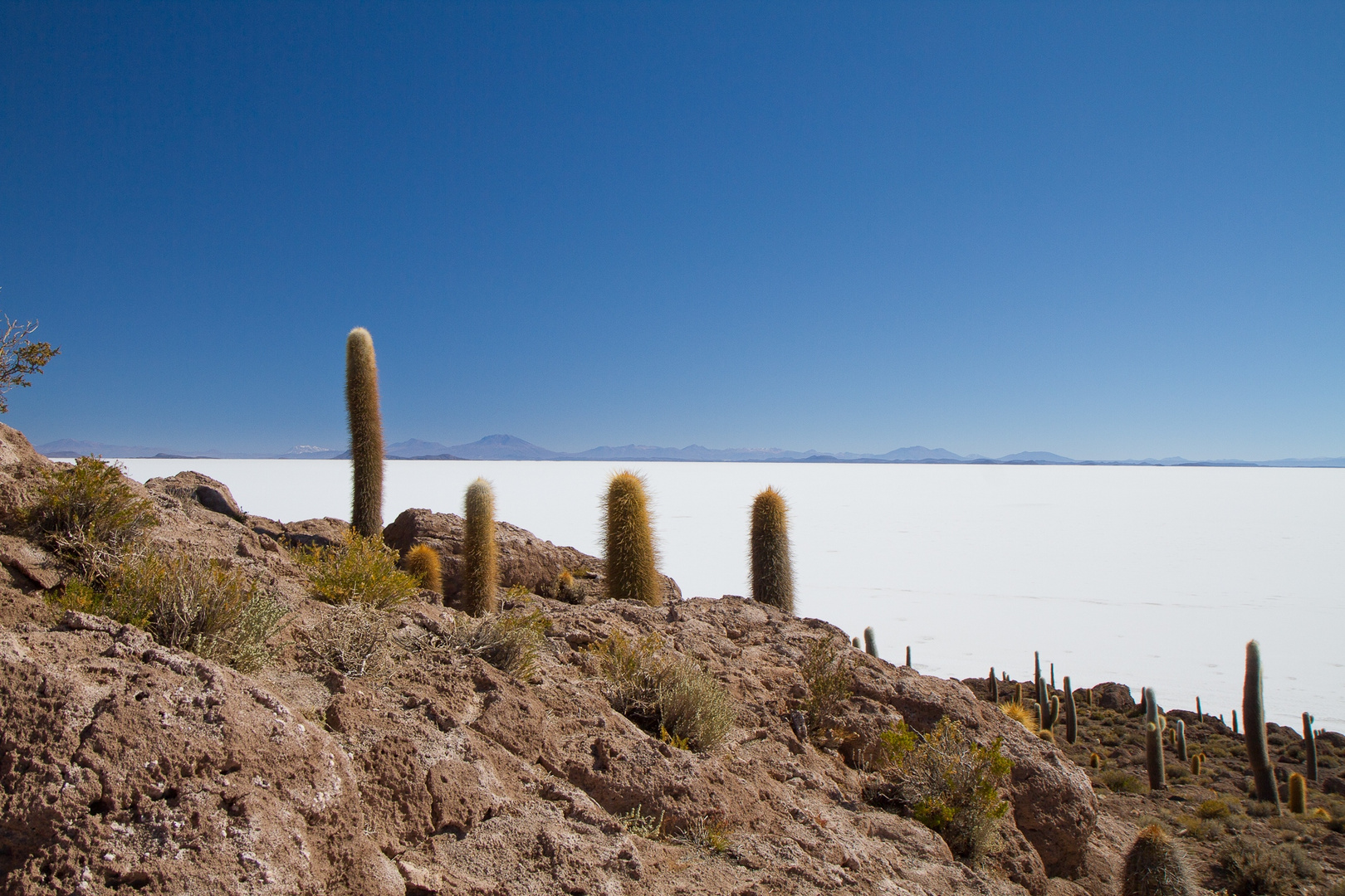 Bolivien - Wüste aus Salz