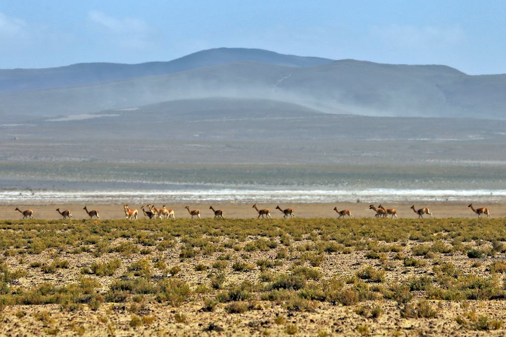 Boliviens Hochland