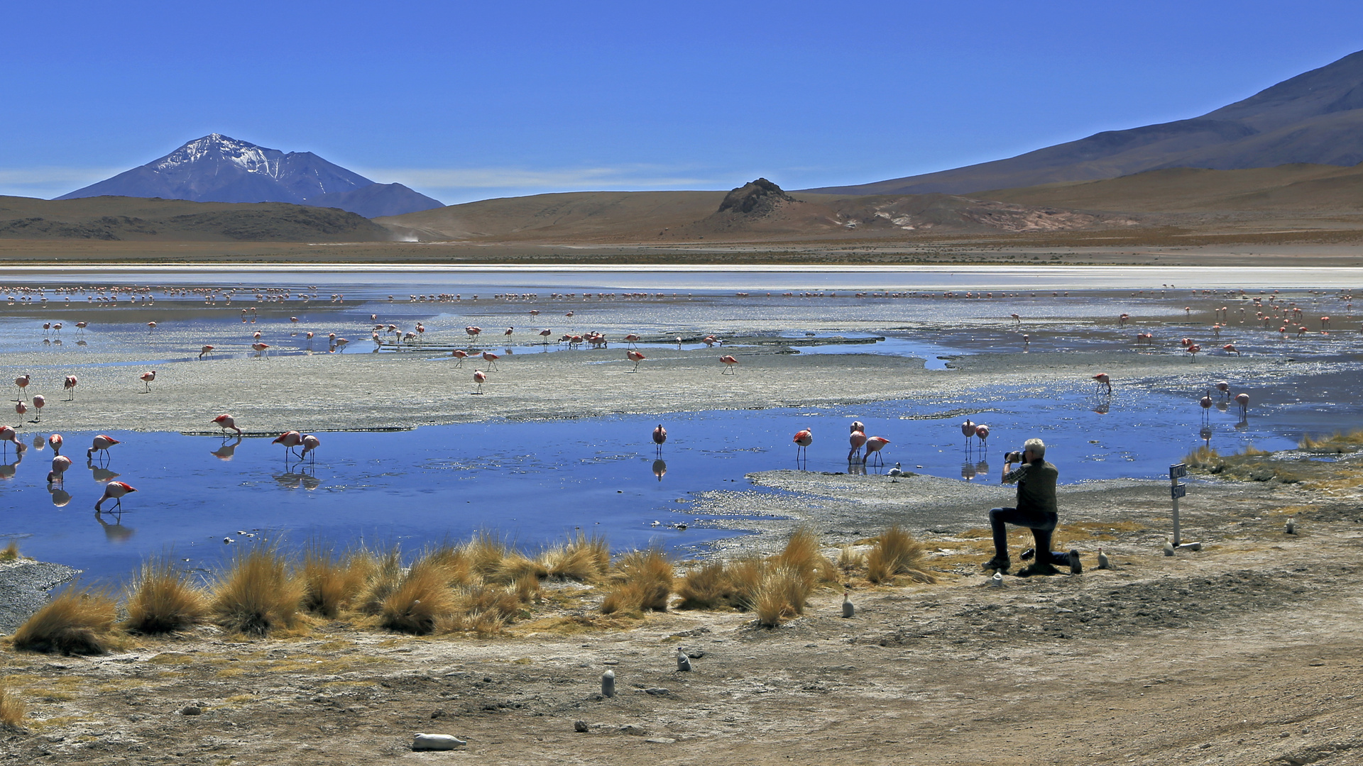 Boliviens Hochland