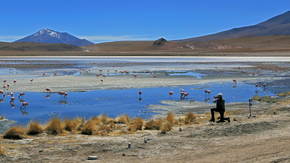 Boliviens Hochland