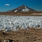 Boliviens Traumlagune