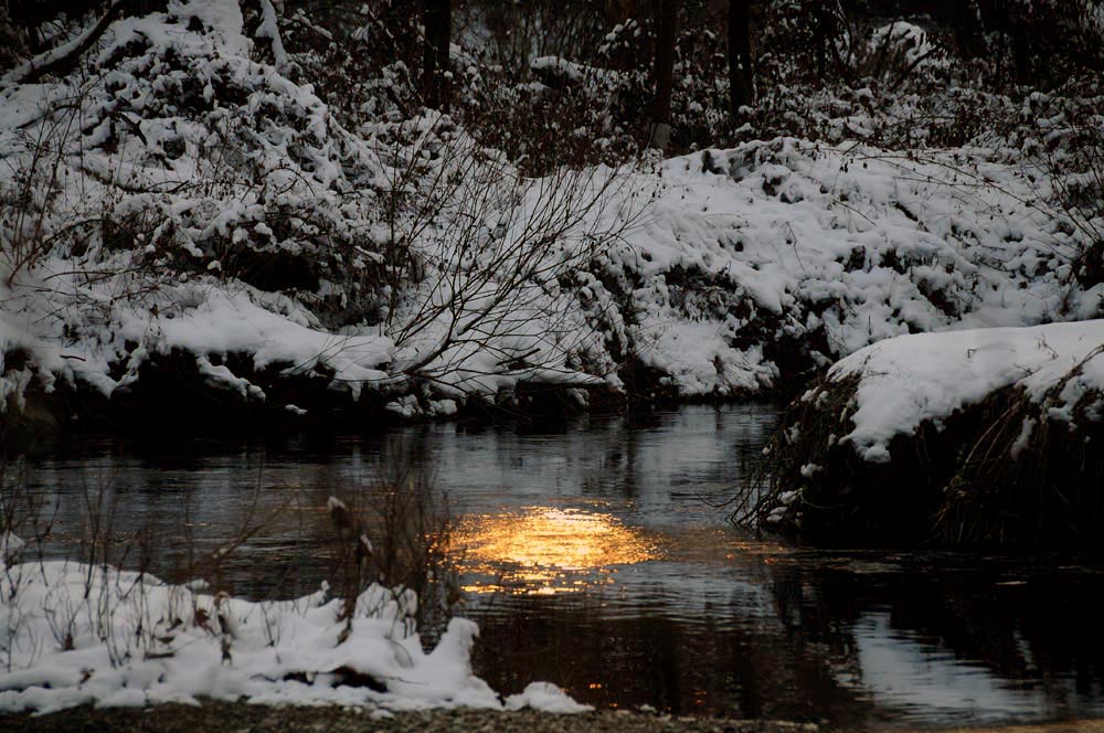 bolla di luce