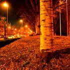 Bollate (MI) : Autunno metropolitano